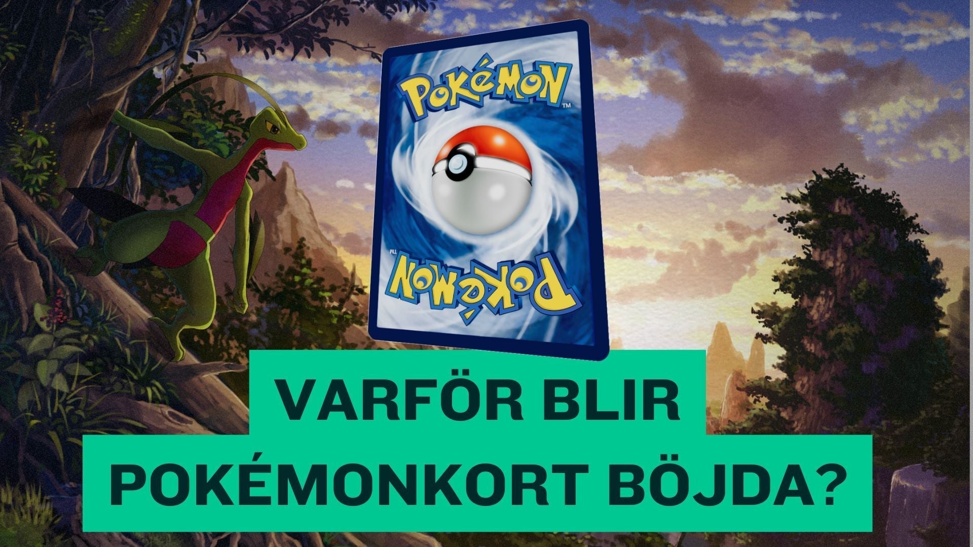 Varför blir Pokémonkort böjda – och hur räddar man dem från fuktskador?