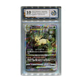 Leafeon VSTAR 210/172 RaukCard 10 graderat pokemon kort