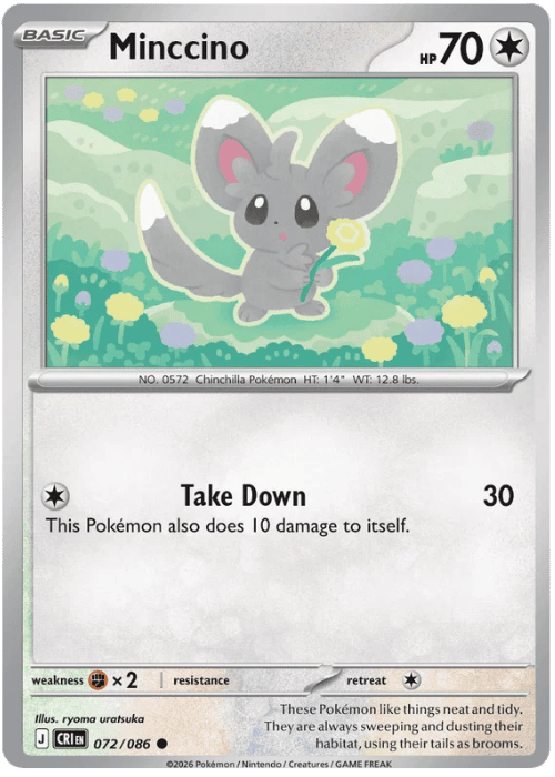 Minccino